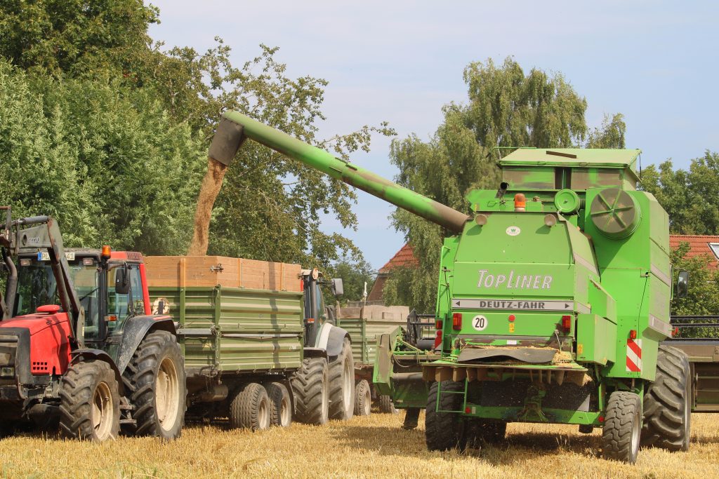 Mähdrescher bei der Ernte tankt Getreide auf einen Anhänger ab