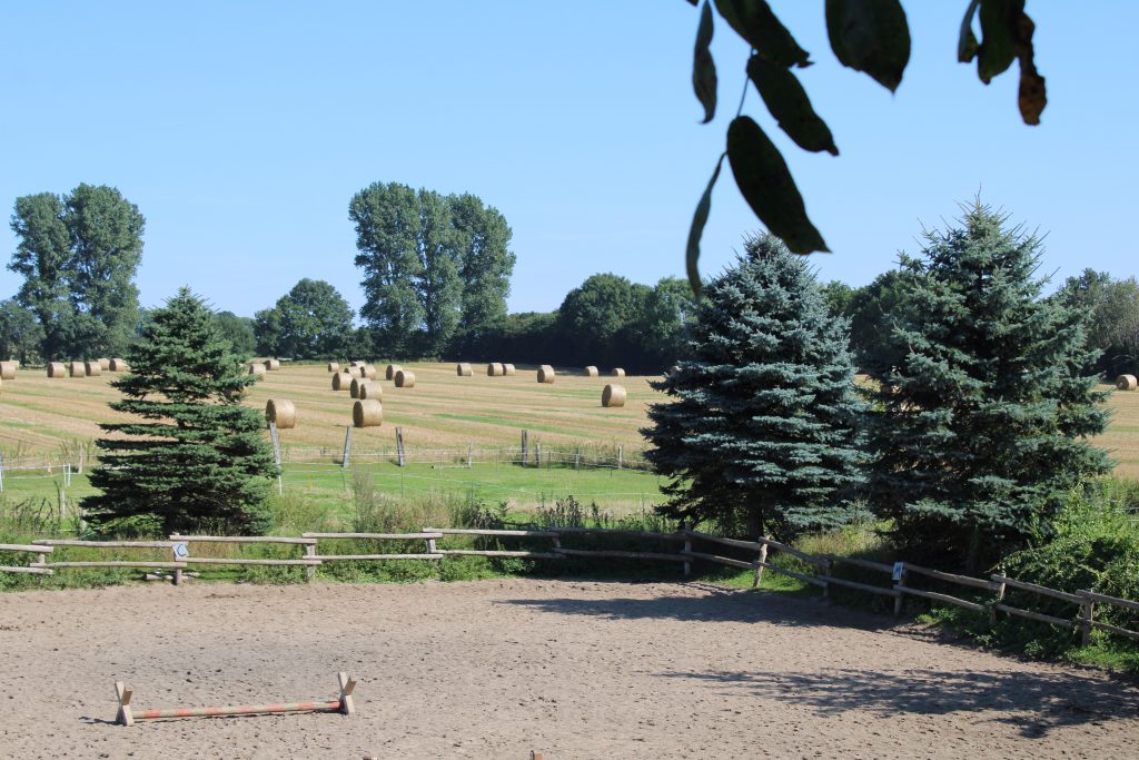 Blick vom Ferienhaus "Backhaus" über unseren Reitplatz auf Feld mit Strohballen