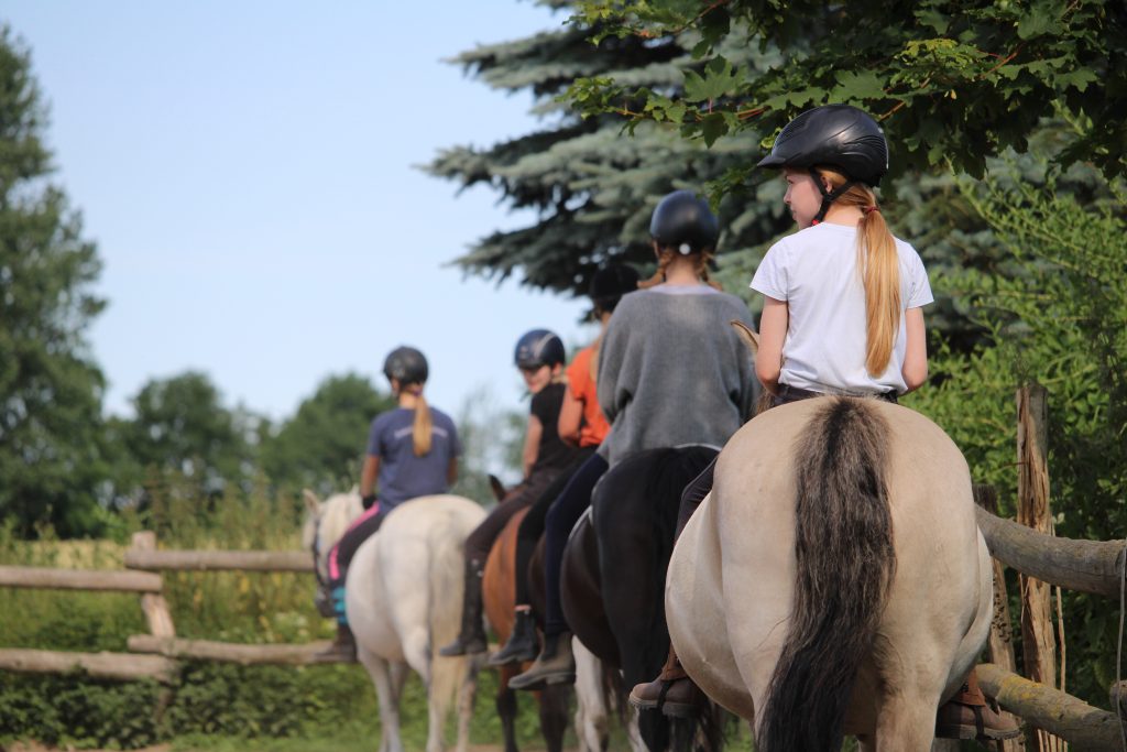 Gruppe beim Reitunterricht auf dem Reitplatz