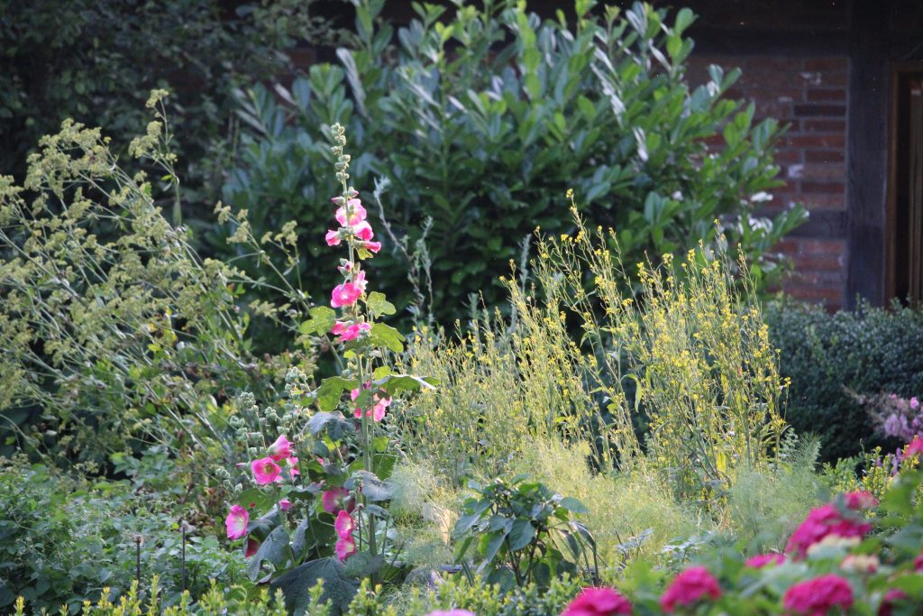 naturnaher Garten mit vielen verschiedenen Pflanzen und Blumen